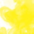 Lemon Yellow (651) FW Inkt Daler Rowney 29.5 ml.