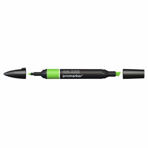 Bright Green ProMarker Winsor & Newton Kleur G267