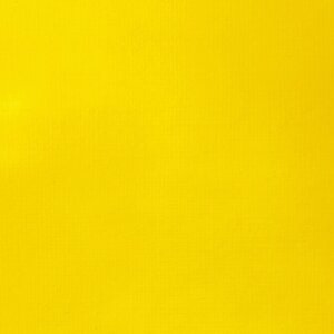 Cadmium Yellow Medium Hue Basics Acrylverf van Liquitex 22 ML Kleur 161