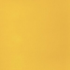 Cadmium Yellow Deep Hue Basics Acrylverf van Liquitex 22 ML Kleur 163