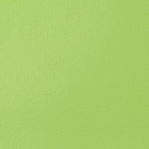 Brilliant Yellow Green Basics Acrylverf van Liquitex 22 ML Kleur 840