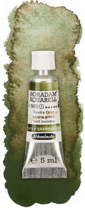 Tundra Green Horadam Aquarelverf Schmincke (Serie 3) 5 ML Kleur 985