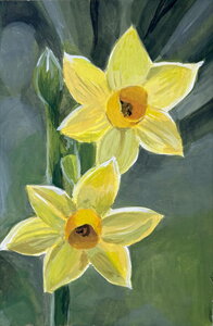 Workshop Gouache De Narcis 17 mei 2025 13.00 - 16.00 uur