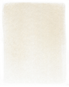 PanPastel kleur Burnt Umber Tint van PanPastel Kleur 760.8