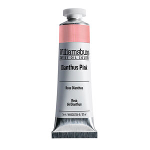 Dianthus Rose / Dianthus Roze (S4) Williamsburg Olieverf 37 ML Kleur 0724