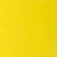 Bismuth Yellow Artists Oil Colour Winsor & Newton 37 ML Kleur 025