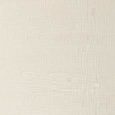 Iridescent White Artists Oil Colour Winsor & Newton 37 ML Kleur 330
