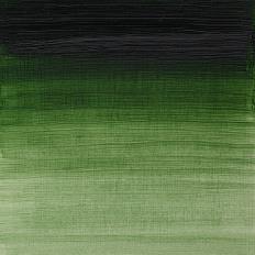 Prussian Green Artists Oil Colour Winsor & Newton 37 ML Kleur 540