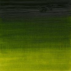 Sap Green Artists Oil Colour Winsor & Newton 37 ML Kleur 599