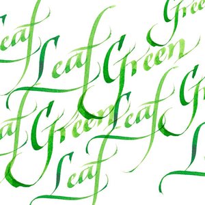 Leaf Green Calligraphy Ink van Winsor & Newton 30 ML Kleur 341