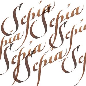 Sepia Calligraphy Ink van Winsor & Newton 30 ML Kleur 609