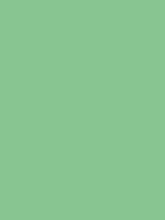 Distant Green Derwent Procolour kleurpotlood Kleur 43