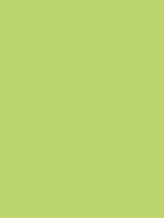 Light Moss Derwent Procolour kleurpotlood Kleur 45