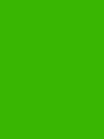 Grass Green Derwent Procolour kleurpotlood Kleur 49