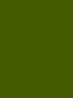 Olive Green Derwent Procolour kleurpotlood Kleur 52