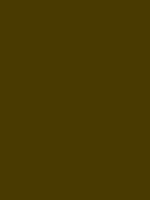 Bronze Derwent Procolour kleurpotlood Kleur 53