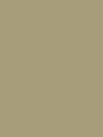 Felt Grey Derwent Procolour kleurpotlood Kleur 69
