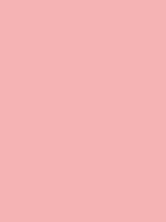 Salmon Pink - Copic Sketch Marker Kleur RV42