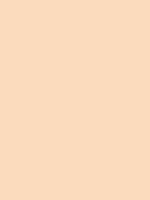 Powder Pink - Copic Sketch Marker Kleur YR00
