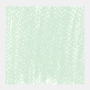 Permanent groen donker 9 Rembrandt Softpastel van Royal Talens Kleur 619.9