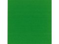 Paul Veronesegroen Rembrandt Acrylverf Talens 40 ML Kleur 615