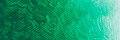 Phthalo Green (Yellow shade) (Serie A) Ara Acrylverf 100 ML Kleur 048
