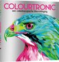 Colourtronic, een caleidoscopische kleuruitdaging