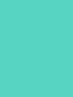 Turquoise Green Derwent Procolour kleurpotlood Kleur 41
