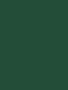 Spruce Green Derwent Procolour kleurpotlood Kleur 42
