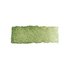 Green Earth kleur 516 (serie 1) 5 ml Schmincke Horadam Aquarelverf_