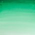 Intense Green half napje van Winsor & Newton Cotman Water Colours Kleur 329_