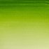 Sap Green half napje van Winsor & Newton Cotman Water Colours Kleur 599_