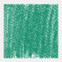 Permanent groen donker 5 Rembrandt Softpastel van Royal Talens Kleur 619.5_