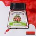 Scarlet Drawing Ink van Winsor & Newton 14 ML Kleur 601_