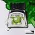 Apple Green Drawing Ink van Winsor & Newton 14 ML Kleur 011_