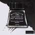 Liquid Indian Ink Drawing Ink van Winsor & Newton 14 ML Kleur 754_