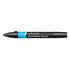 Cyan Winsor & Newton Promarker Brush Kleur C847_