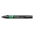 Lush Green Winsor & Newton Promarker Brush Kleur G756_