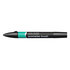 Ocean Teal Winsor & Newton Promarker Brush Kleur G956_