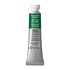 Hookers Green (S1) Professioneel Aquarelverf van Winsor & Newton 5 ml Kleur 311_