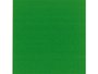 Paul Veronesegroen Rembrandt Acrylverf Talens 40 ML Kleur 615_