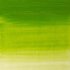 Chrome Green Hue Winton Olieverf van Winsor & Newton 200 ML Kleur 145_