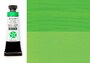 Spring Green (S3) Daniel Smith Extra fine Gouache 15 ML Kleur 020_