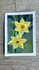 Workshop Gouache De Narcis 17 mei 2025 13.00 - 16.00 uur_