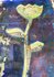 Workshop Gelli Plate en Ara Acrylverf  28 juni 2025 13.00 - 14.30 uur_