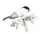 Workshop Vogeltje Illustreren met Fineliners – zaterdag 28 februari 2026 10.00 uur -13.00 uur_