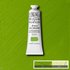 Cadmium Green Pale Artists Oil Colour Winsor & Newton 37 ML Kleur 084_