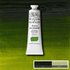 Sap Green Artists Oil Colour Winsor & Newton 37 ML Kleur 599_