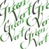 Green Calligraphy Ink van Winsor & Newton 30 ML Kleur 289_