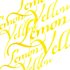 Lemon Yellow Calligraphy Ink van Winsor & Newton 30 ML Kleur 345_